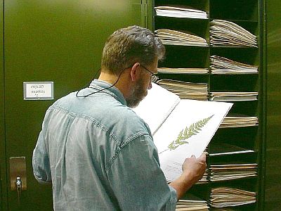 John Maunder using the herbarium at the Provincial Museum