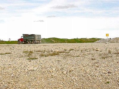 Gravel Truck Passing Close to a Patch of Long's Braya at Yankee Point