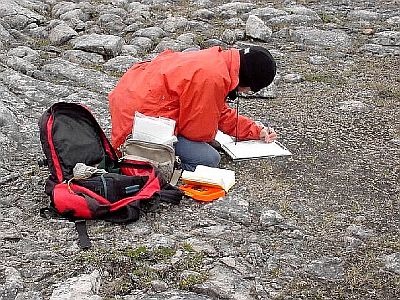 Nathalie Djan-Chkar doing Research on Barrens Willow at Boat Harbour